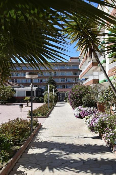 Alegre Apto Con Piscina, A 300M De La Playa. بلانيس المظهر الخارجي الصورة