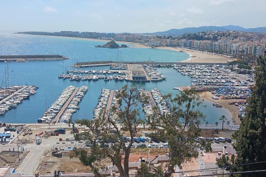 Alegre Apto Con Piscina, A 300M De La Playa. بلانيس المظهر الخارجي الصورة