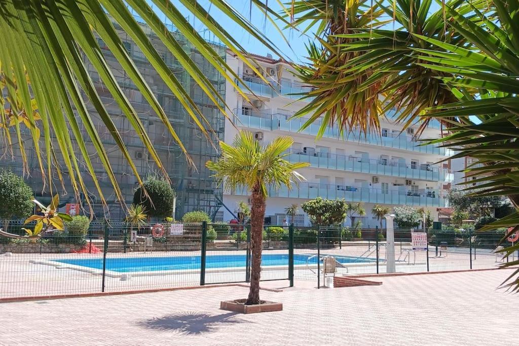 Alegre Apto Con Piscina, A 300M De La Playa. بلانيس المظهر الخارجي الصورة