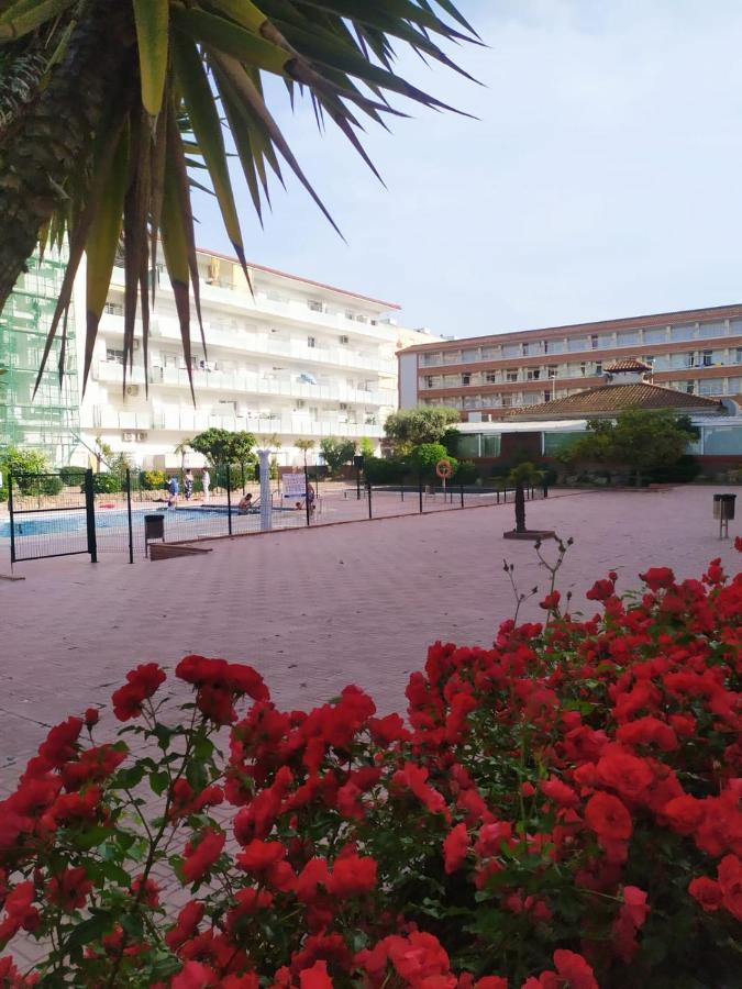 Alegre Apto Con Piscina, A 300M De La Playa. بلانيس المظهر الخارجي الصورة